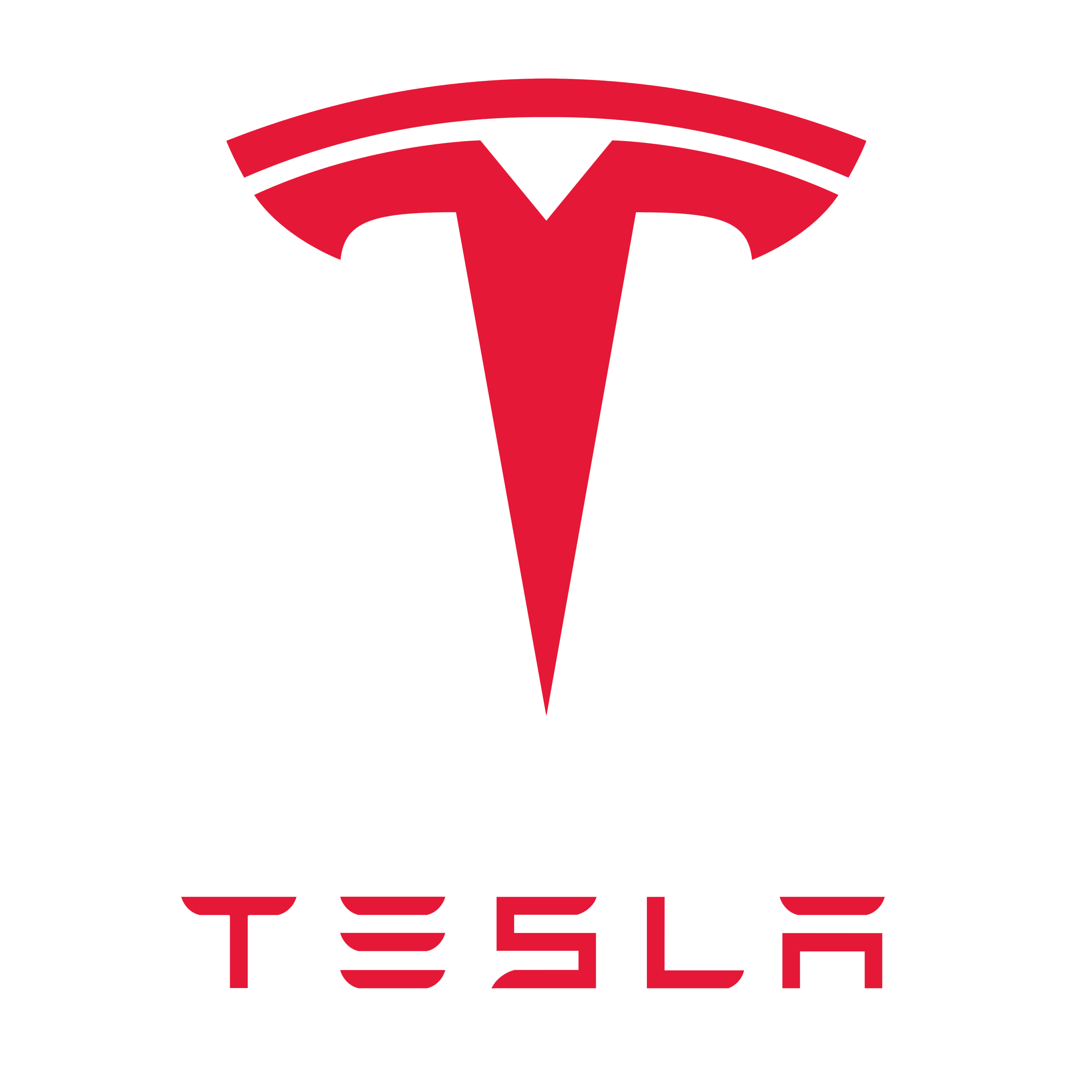 TESLA logo